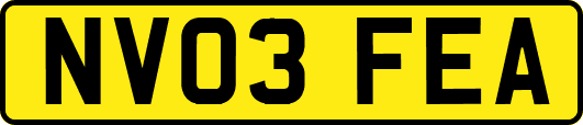 NV03FEA