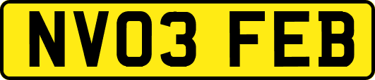 NV03FEB