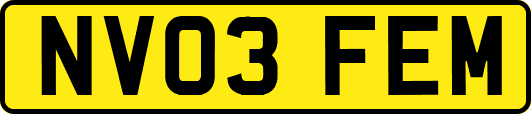 NV03FEM