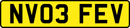 NV03FEV