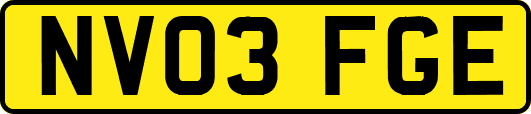 NV03FGE
