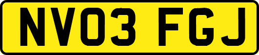 NV03FGJ