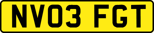 NV03FGT