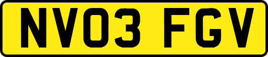NV03FGV