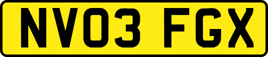 NV03FGX