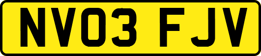 NV03FJV
