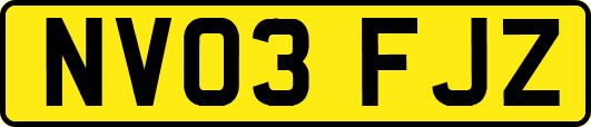 NV03FJZ