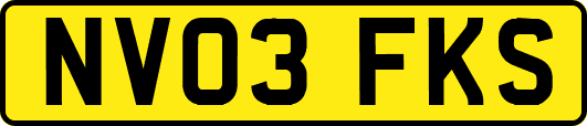NV03FKS