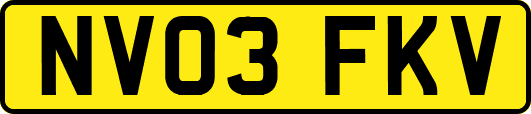 NV03FKV