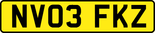 NV03FKZ