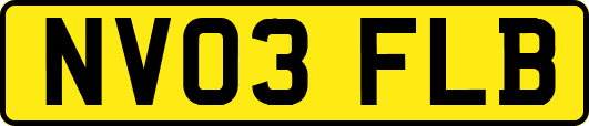 NV03FLB