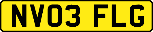 NV03FLG