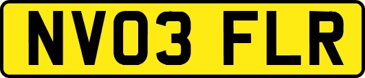 NV03FLR