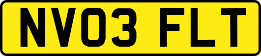 NV03FLT