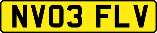 NV03FLV