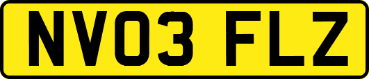 NV03FLZ