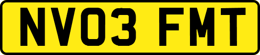 NV03FMT