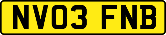NV03FNB