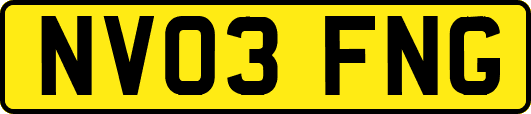 NV03FNG
