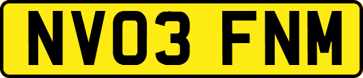 NV03FNM