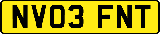 NV03FNT