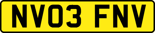 NV03FNV