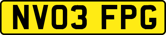 NV03FPG