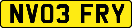 NV03FRY
