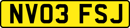 NV03FSJ