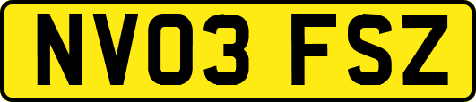 NV03FSZ