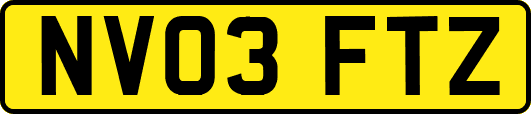NV03FTZ