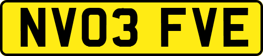 NV03FVE