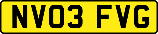 NV03FVG