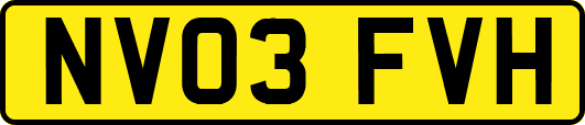NV03FVH