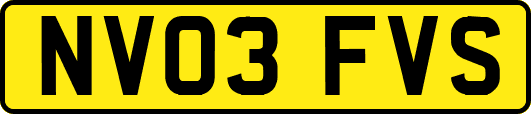 NV03FVS