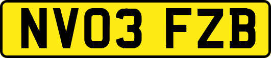 NV03FZB