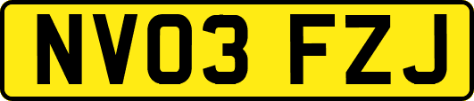 NV03FZJ