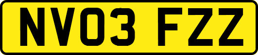 NV03FZZ