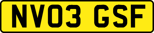NV03GSF