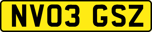 NV03GSZ