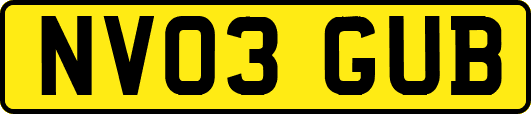 NV03GUB