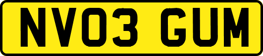 NV03GUM