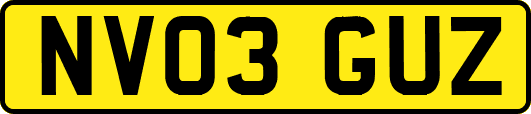 NV03GUZ