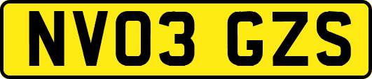 NV03GZS