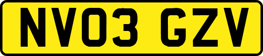 NV03GZV