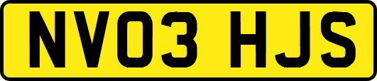 NV03HJS