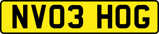 NV03HOG