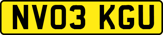 NV03KGU