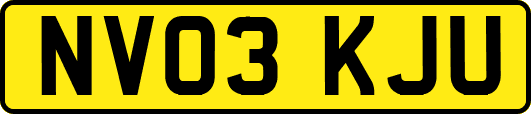 NV03KJU
