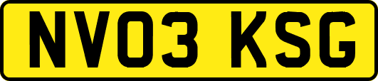 NV03KSG